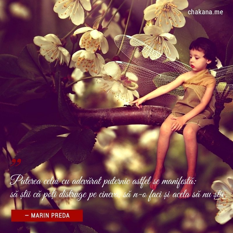 Marin Preda - putere