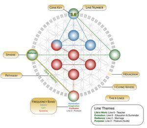 Cheile Genelor - profil hologenetic