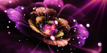 calea transformării de sine