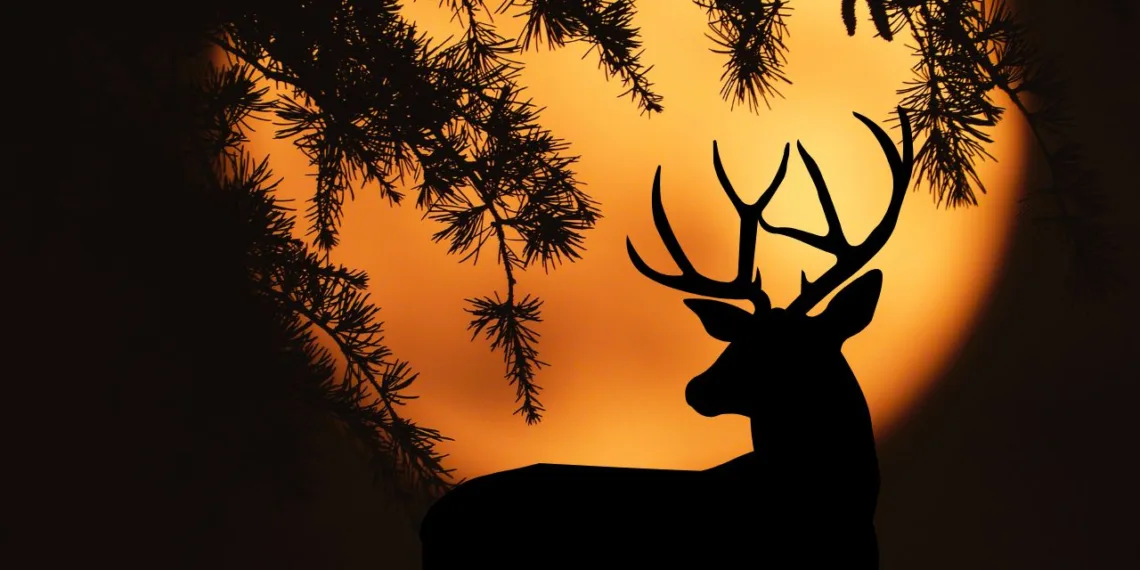 Luna Cerbului (Luna-Plină din iulie)