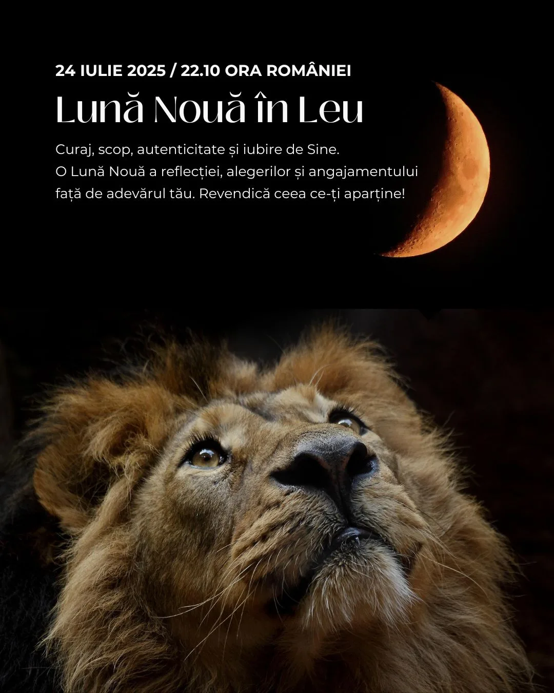 Luna Nouă în Leu (24 iulie 2025)